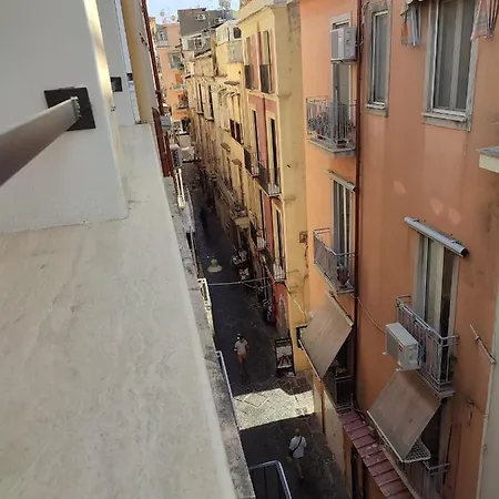 L'oliva Contesa - La Blu